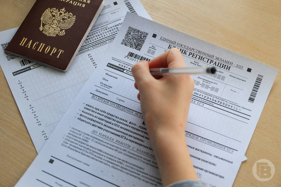 "Зделать" и "теплата": смешные ошибки на ЕГЭ по русскому назвали волгоградцам