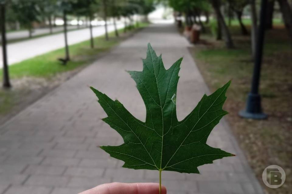 Приметы на 19 сентября: что запрещено делать ради счастья