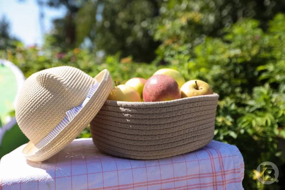 На какие продукты нужно налегать осенью, рассказали волгоградские эксперты