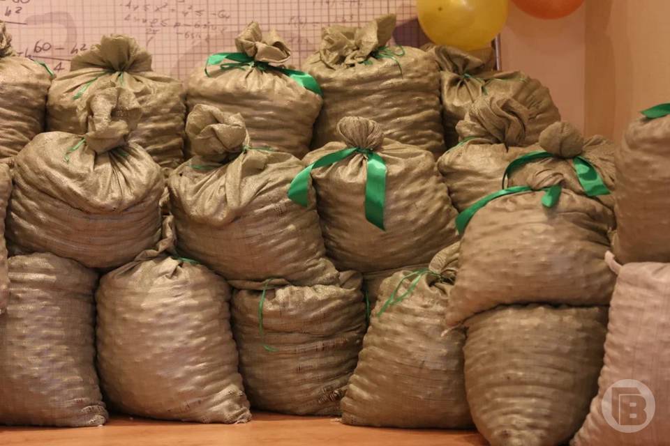 151 нарушение нашли в Волгоградской области при списании семян