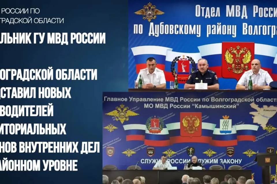 Новые руководители полиции назначены в Камышине и Дубовке Волгоградской области
