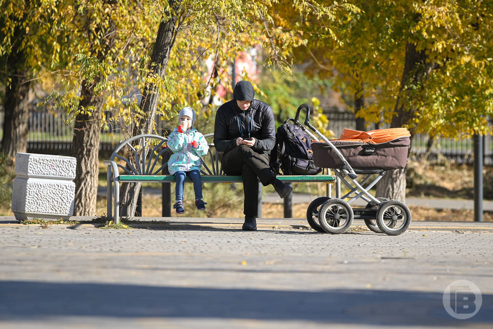 Почти 22 тысячи волгоградцев получили ежегодную семейную выплату