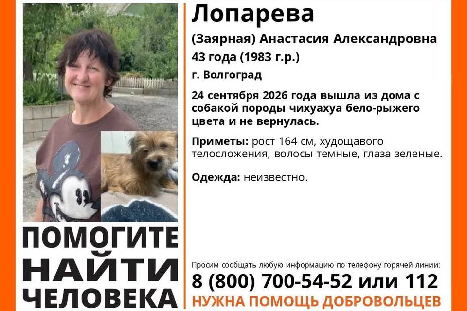 Женщина с собачкой бесследно исчезла в Волгограде