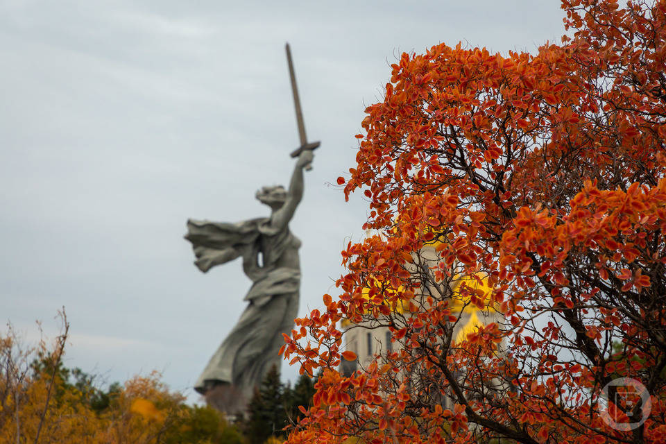 До +2 резко похолодает в Волгоградской области