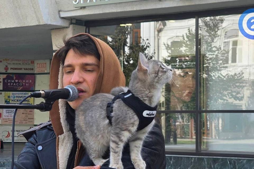 В Саратове появился уличный музыкант, которому подпевает кошка
