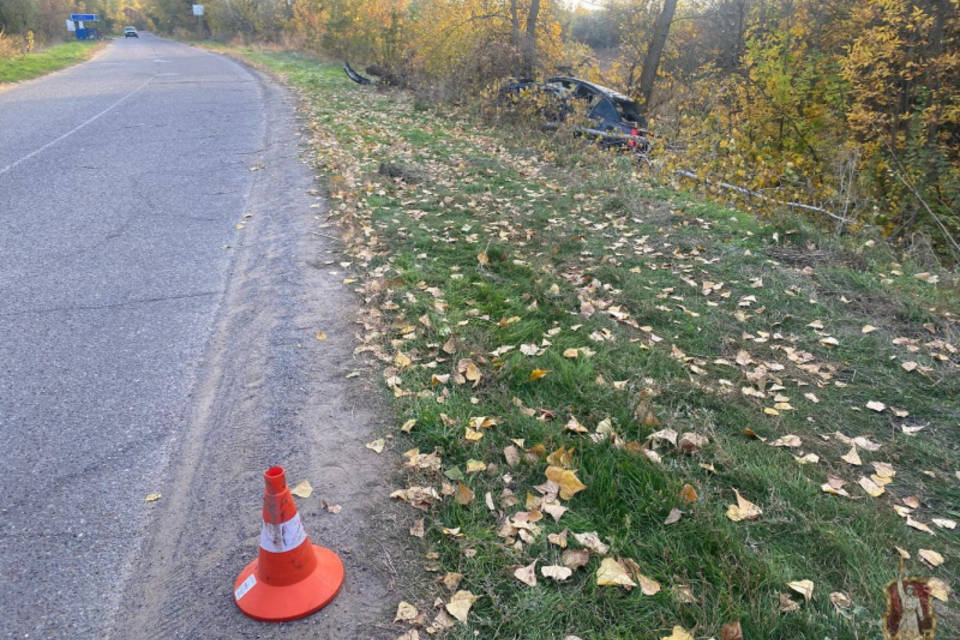 Под Волгоградом машина влетела в дерево, водитель погиб