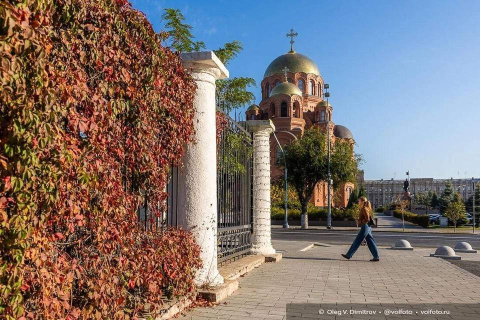 Тепло и сильный дождь: какая погода ждет Волгоград на следующей неделе