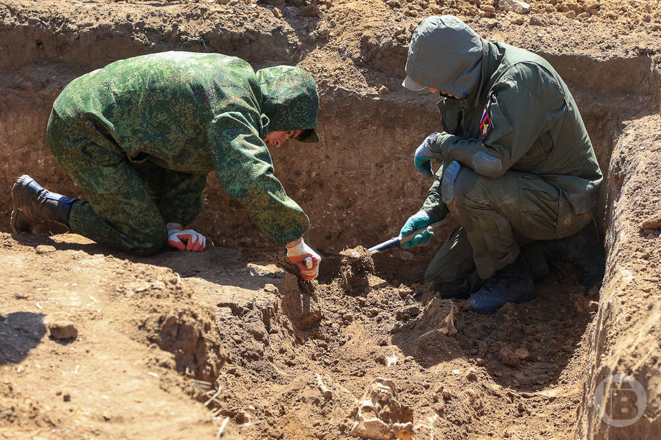 Части самолета времен Великой Отечественной войны нашли под Волгоградом