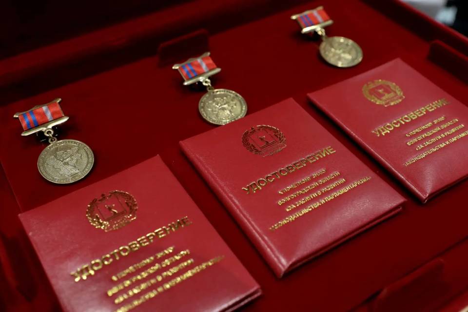 Волгоградские парламентарии получили награды за развитие законодательства