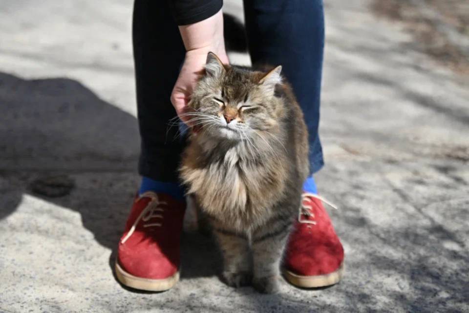 Что запрещено делать на Сергея Зимнего