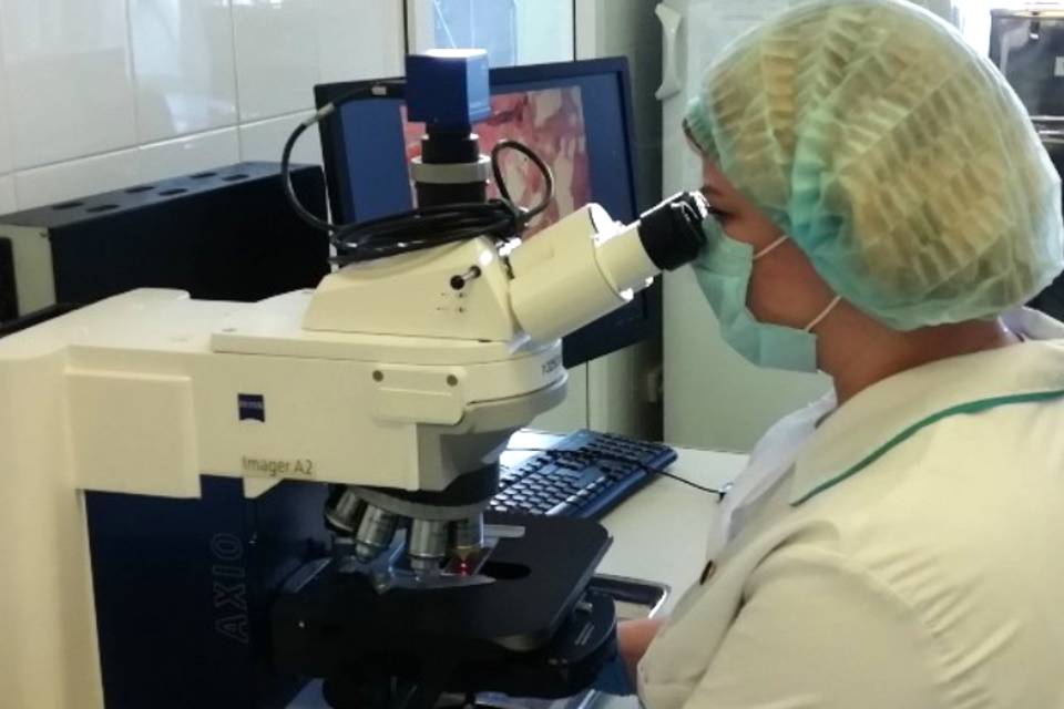 10,3 тыс. т волгоградского сафлора проверили специалисты