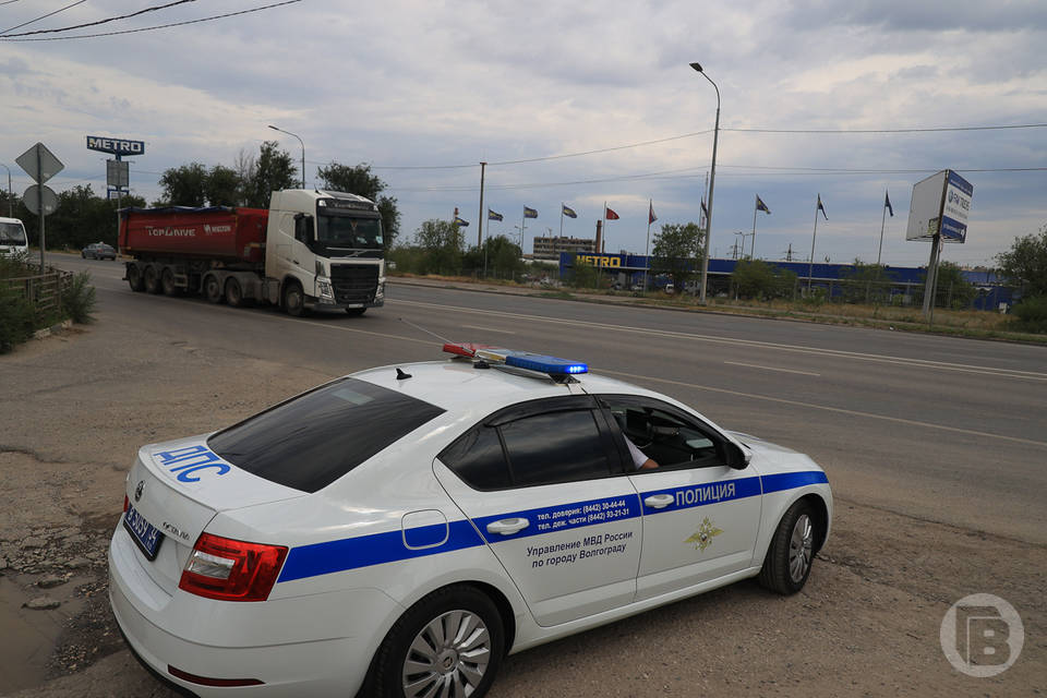 Волгоградец на мопеде задавил собаку на полигоне
