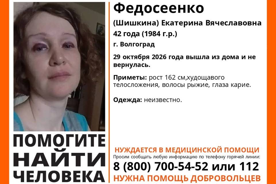 Пропавшую волгоградку Екатерину Федосеенко ищут вместе с полицией