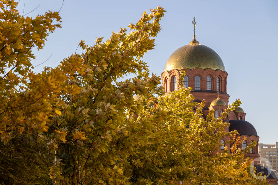 Фото: Дмитрий Рогулин / «Городские вести»