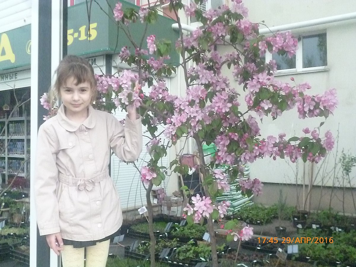 Кира Самошина, 7 лет