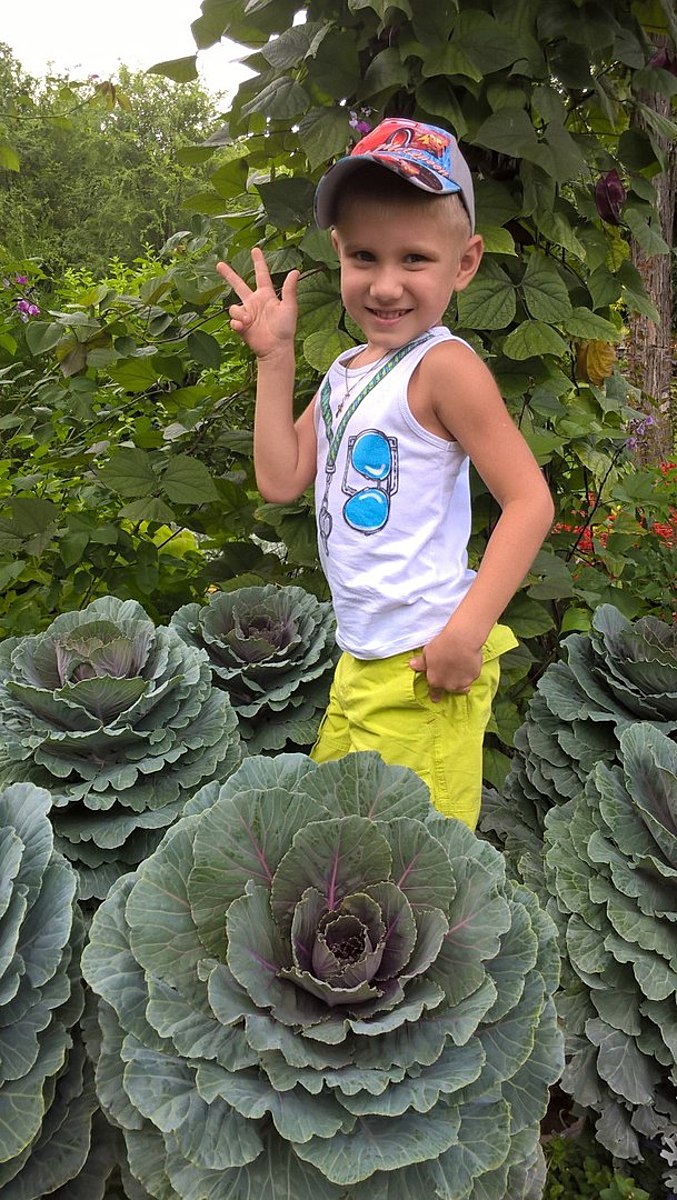 Антропов Станислав, 5 лет