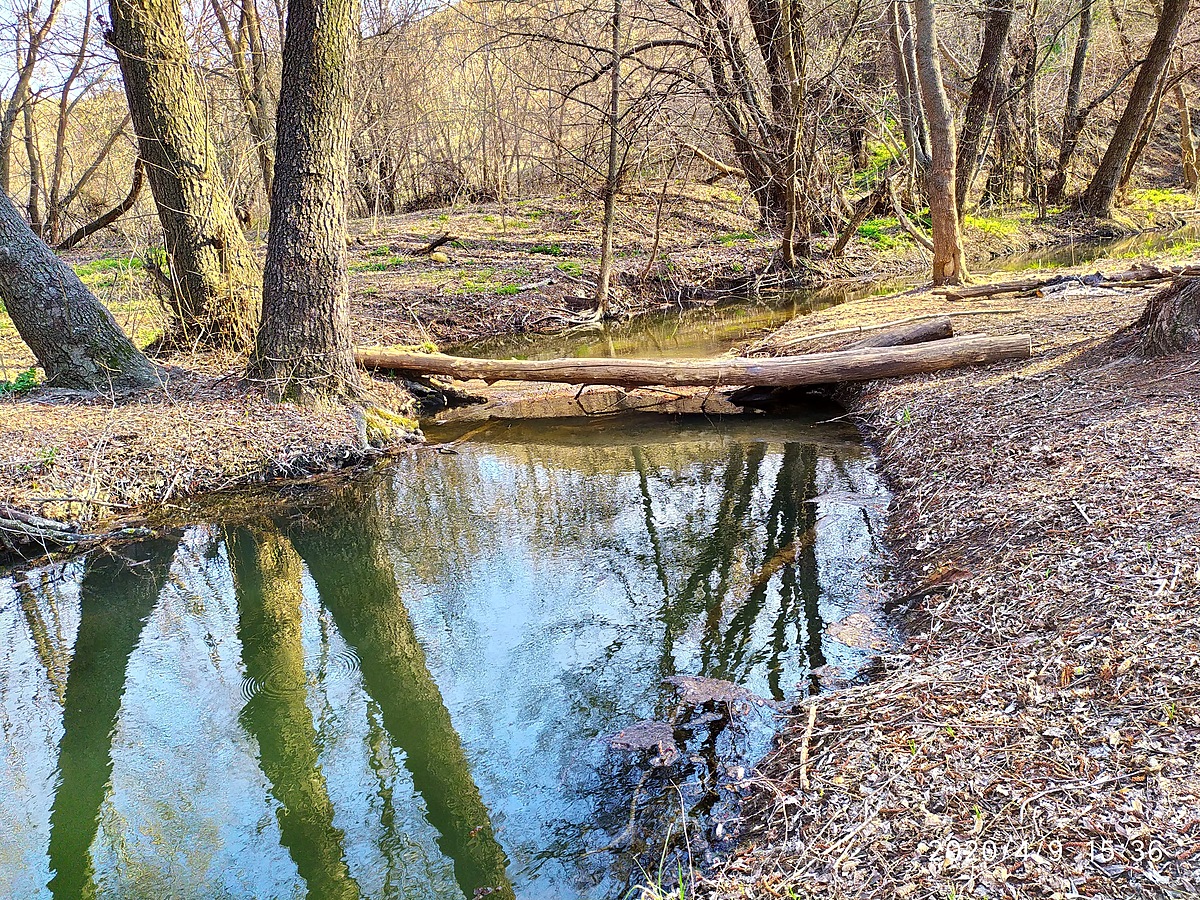 Река царицына