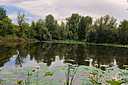 Фото: "Городские вести"
