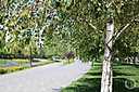 Фото: "Городские вести"