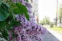 Фото: Евгения Иванова/"Городские вести"