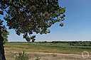 Фото: Евгения Иванова/"Городские вести"
