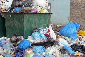 Волгоградские УК поплатятся рублем за мусор во дворах
