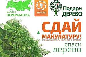 Фото: комитет природных ресурсов, лесного хозяйства и экологии Волгоградской области
