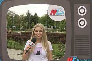 Телевизор будет работать: в Волгограде УК и ТОСы привлекают к информированию о переходе на «цифру»
