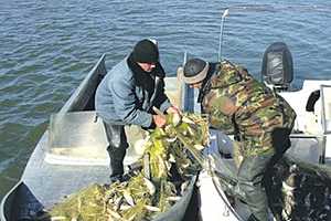 Сотрудник областного  НИИ озерного и речного рыбного хозяйства организовал банду браконьеров на Цимле
