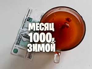 Мегаэксперимент: волгоградец живёт на 1000 рублей в месяц
