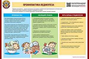 Инфографика предоставлена РПН по Волгоградской области