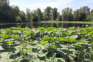 Фото: «Городские вести»