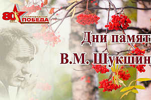 Коллаж: администрация Волгоградской области