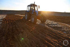 1,53 млн гектаров озимых зерновых культур засеяли в Волгоградской области