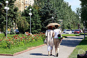 Фото: Дмитрий Рогулин / "Городские вести"