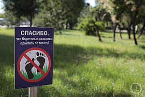 Фото: Дмитрий Рогулин / «Городские вести»