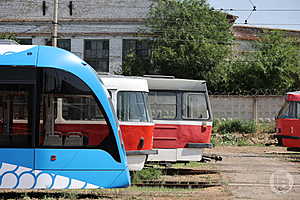 В Волгограде трамваи «Львенок» перевезли 250 тысяч пассажиров