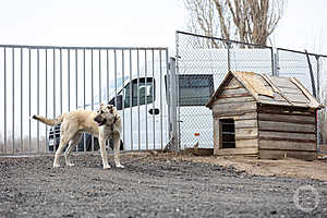 Фото: «Городские вести»