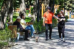 Фото: Дмитрий Рогулин / "Городские вести"