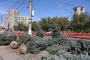 Фото: Данил Савченко / "Городские вести"