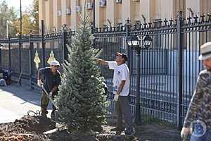 Фото: Данил Савченко / "Городские вести"