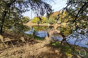 Фото: "Городские вести"