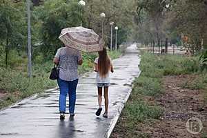 Фото: "Городские вести"