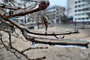 Фото: "Городские вести"