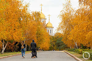 Фото: Олег Димитров/"Городские вести"