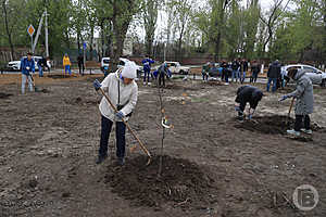 Фото: Дмитрий Рогулин / «Городские вести»