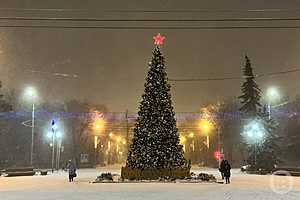 Фото: Данил Савченко/"Городские вести"