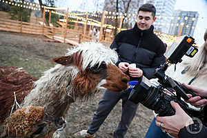 Фото: Дмитрий Рогулин / "Городские вести"