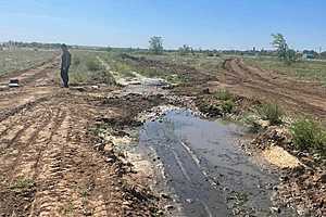 Фото: Нижне-Волжское управление Росприроднадзора