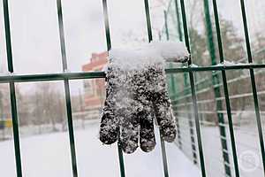 Фото: Дмитрий Рогулин / "Городские вести"